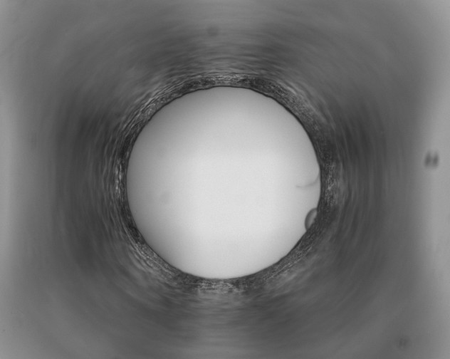 X0000091080866200708061335