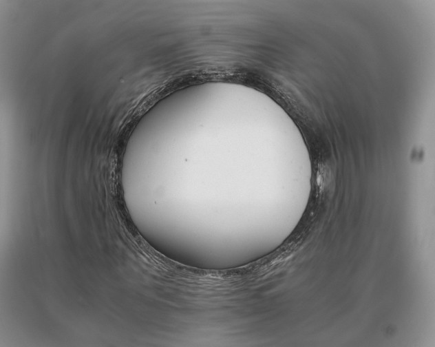 X0000091080867200708061335