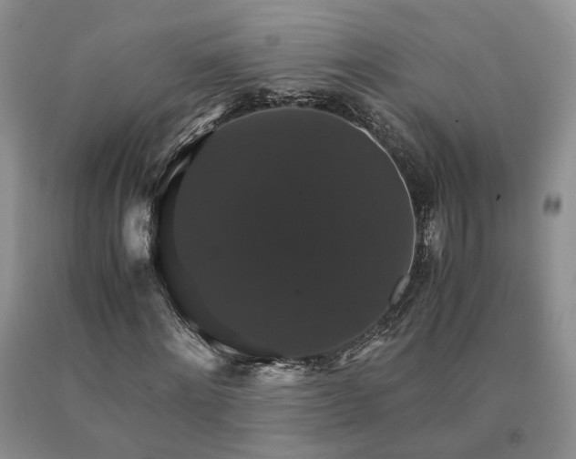 X0000091080868200708061335