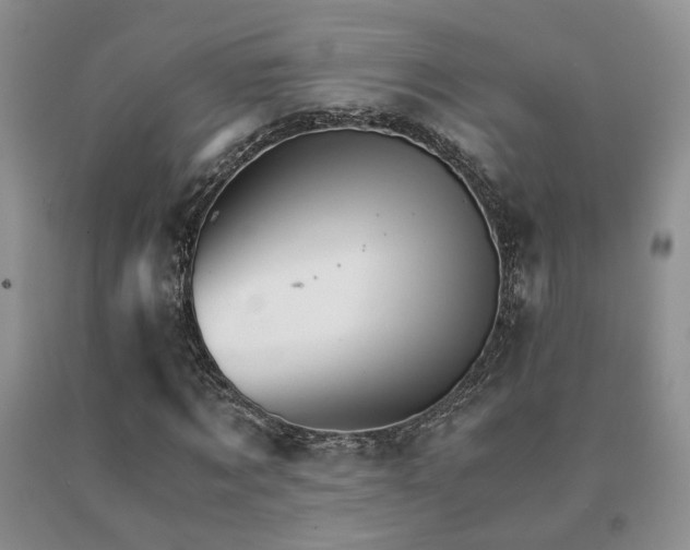 X0000091080869200708061335