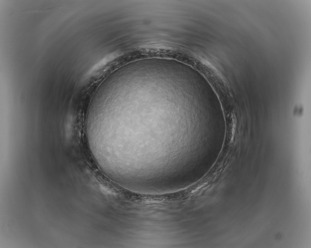 X0000091080870200708061335