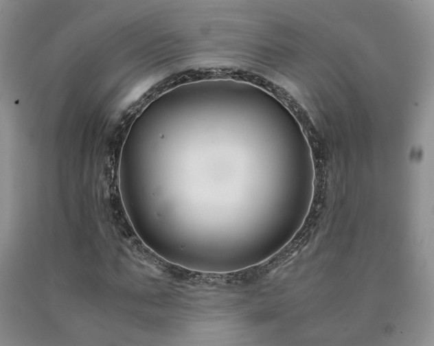 X0000091080871200708061335