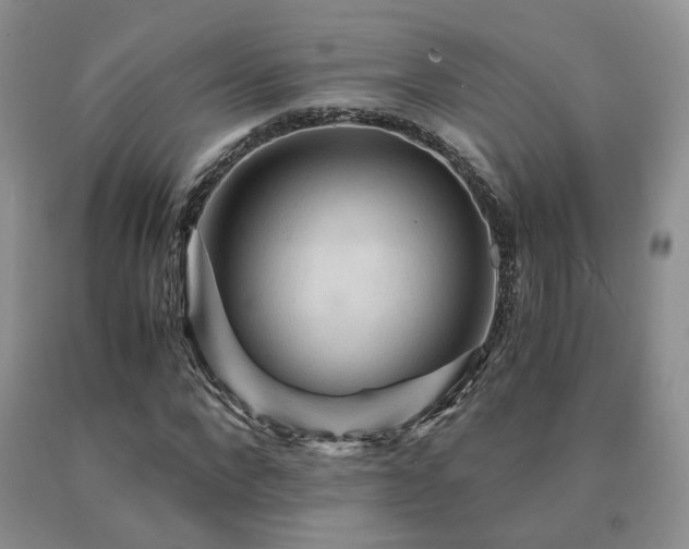 X0000091080872200708061335