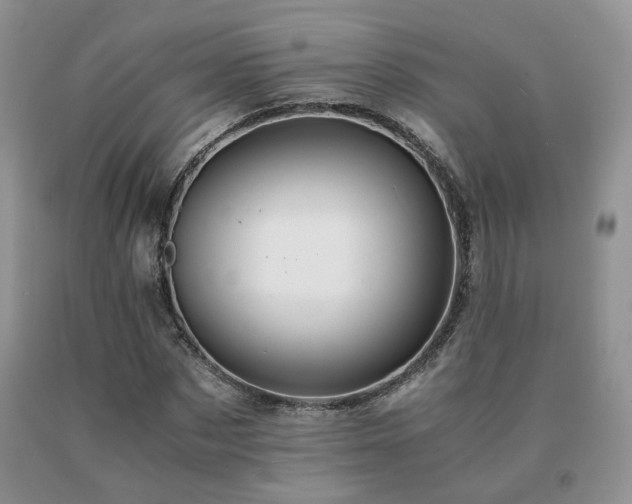 X0000091080873200708061335