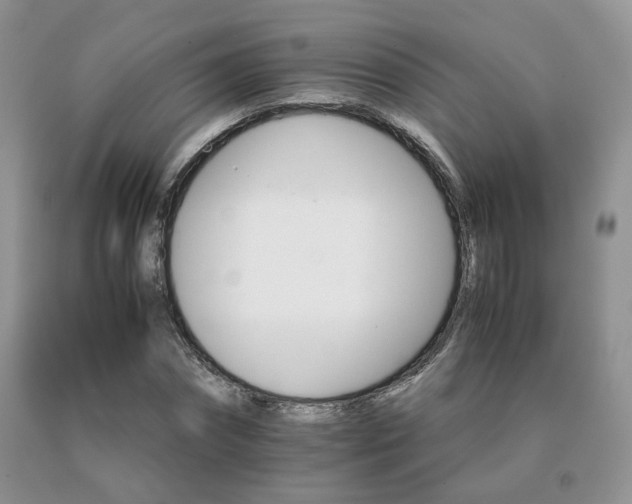 X0000091080874200708061335