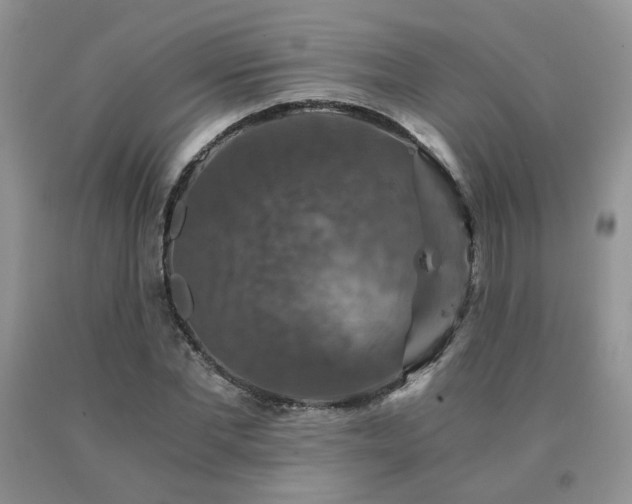 X0000091080877200708061335