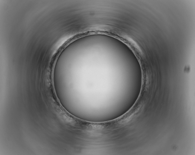 X0000091080878200708061335