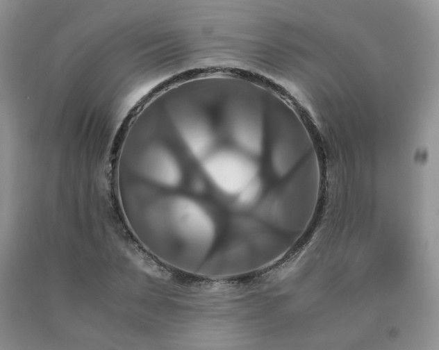 X0000091080879200708061335