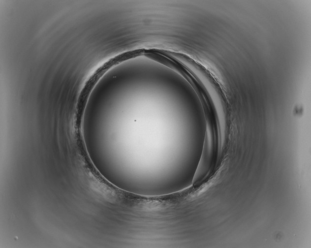 X0000091080880200708061335