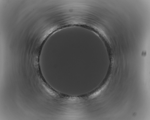 X0000091080881200708061335