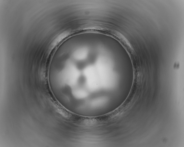 X0000091080882200708061335