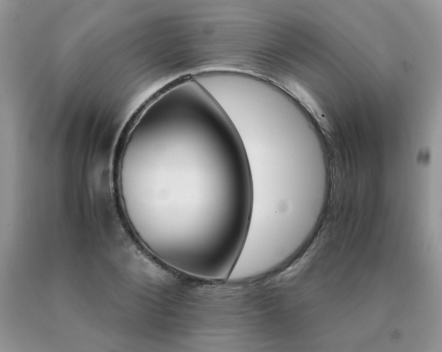 X0000091080884200708061335