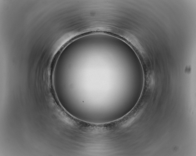 X0000091080886200708061335