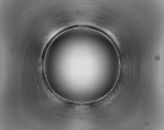 X0000091080887200708061335