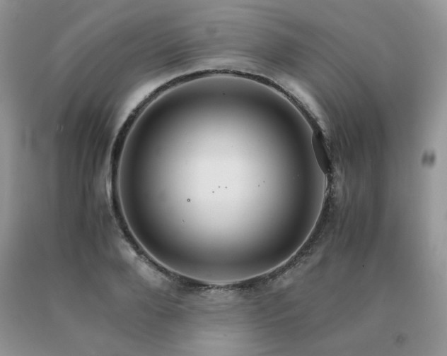 X0000091080888200708061335