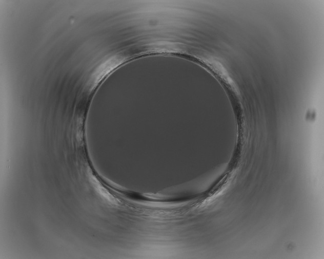 X0000091080889200708061335