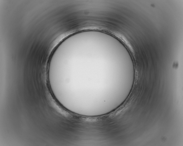 X0000091080890200708061335