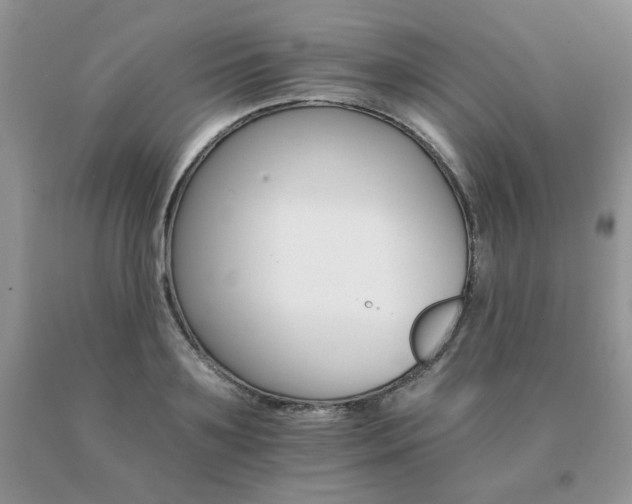 X0000091080891200708061335