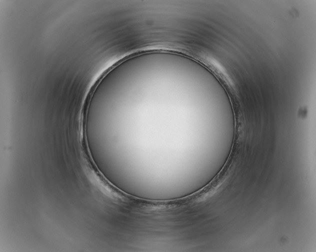 X0000091080892200708061335