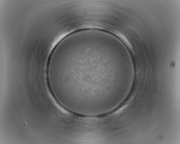 X0000091080893200708061335