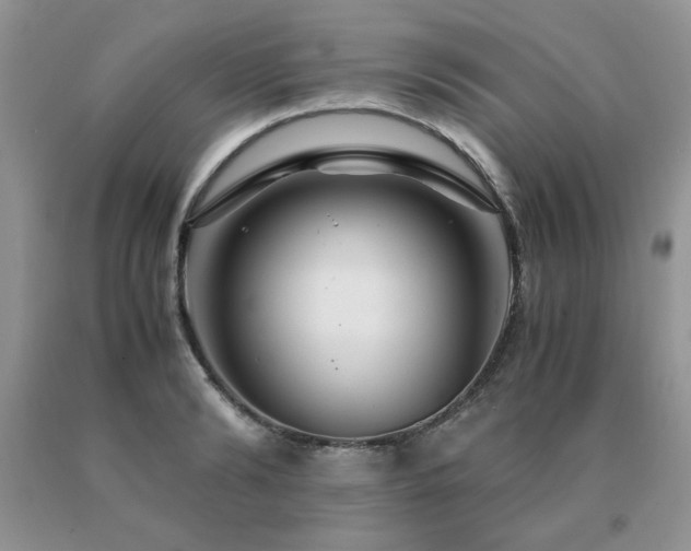 X0000091080894200708061335