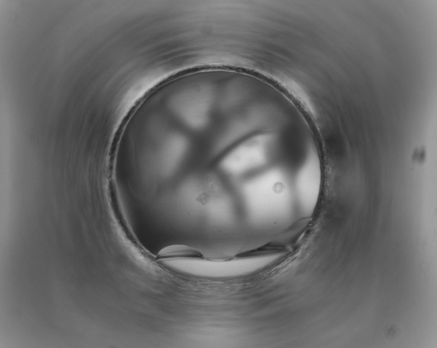 X0000091080895200708061335