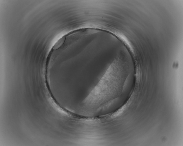 X0000091080896200708061335