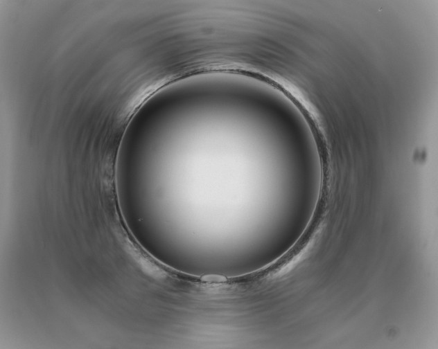 X0000091080897200708061335