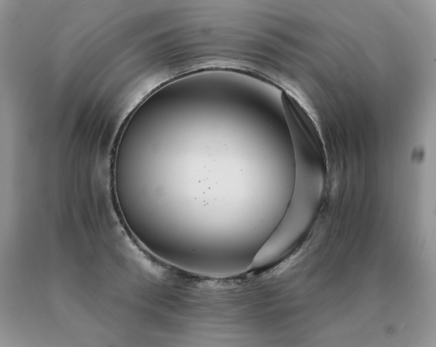 X0000091080898200708061335