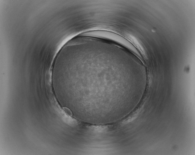 X0000091080900200708061334