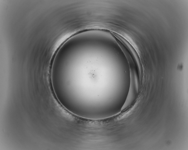 X0000091080901200708061334