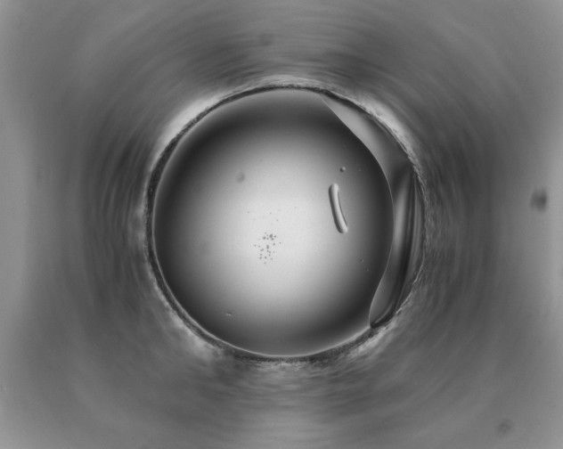 X0000091080902200708061334