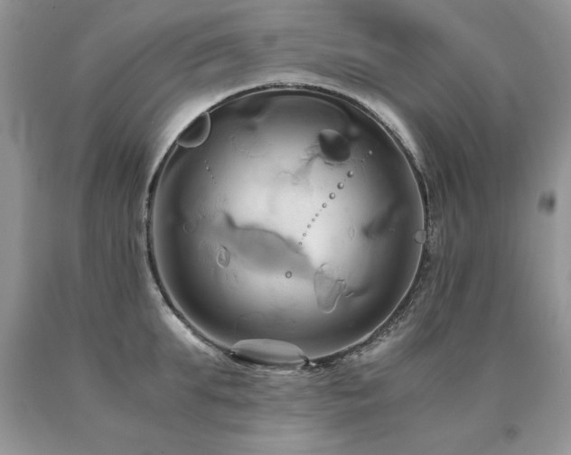 X0000091080903200708061334