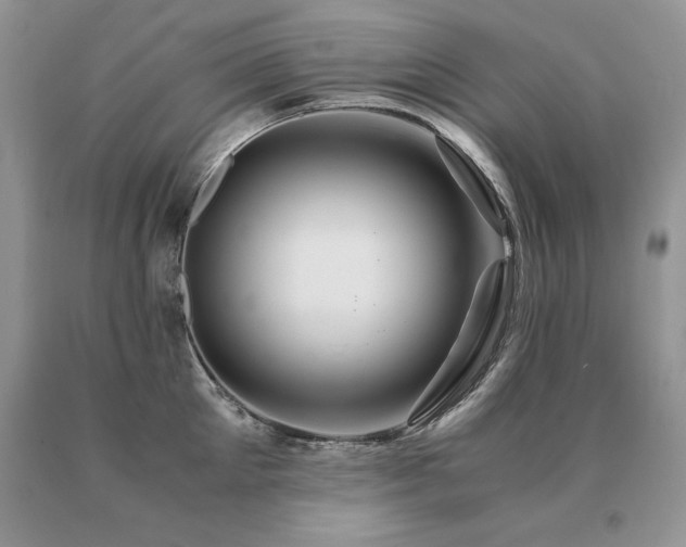 X0000091080905200708061334