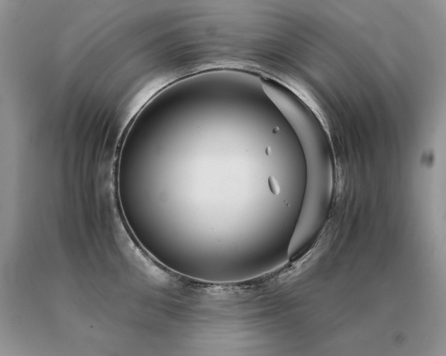 X0000091080906200708061334