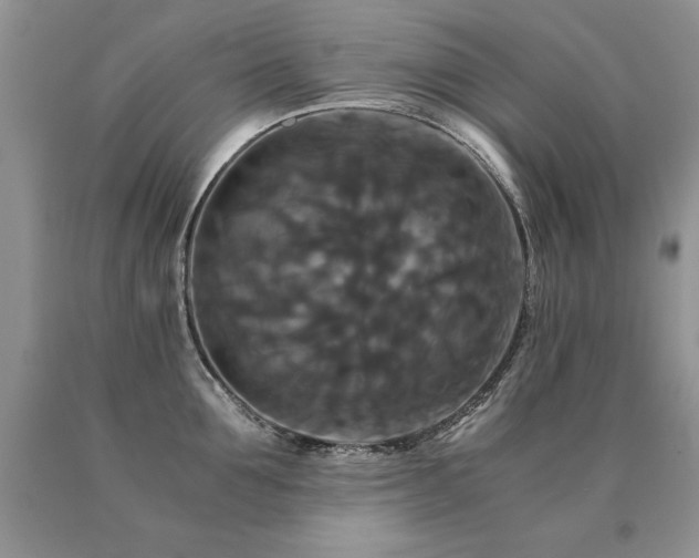 X0000091080907200708061334