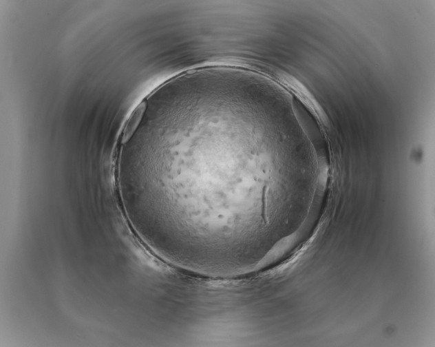 X0000091080908200708061334