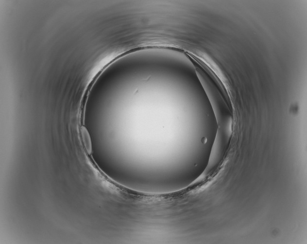 X0000091080909200708061334