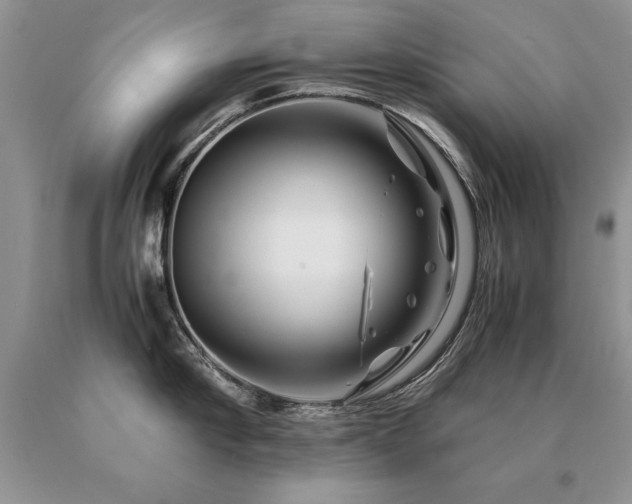 X0000091080910200708061334