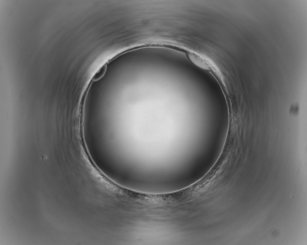 X0000091080911200708061334