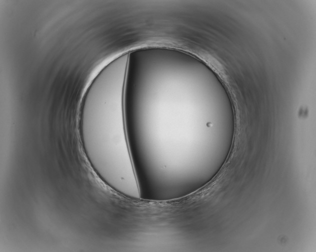 X0000091080912200708061334