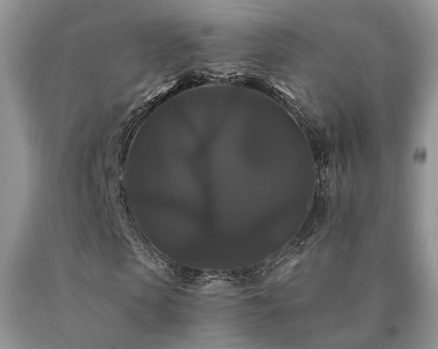 X0000091080913200708061334