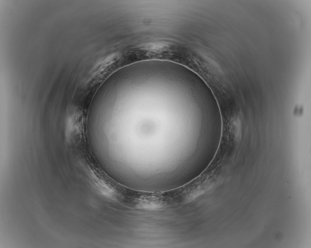 X0000091080914200708061334