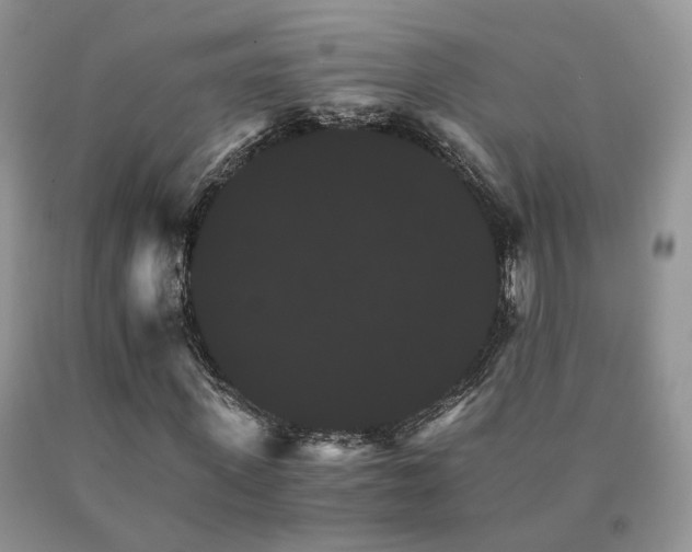 X0000091080915200708061334