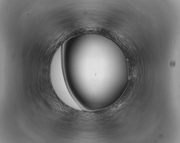 X0000091080916200708061334