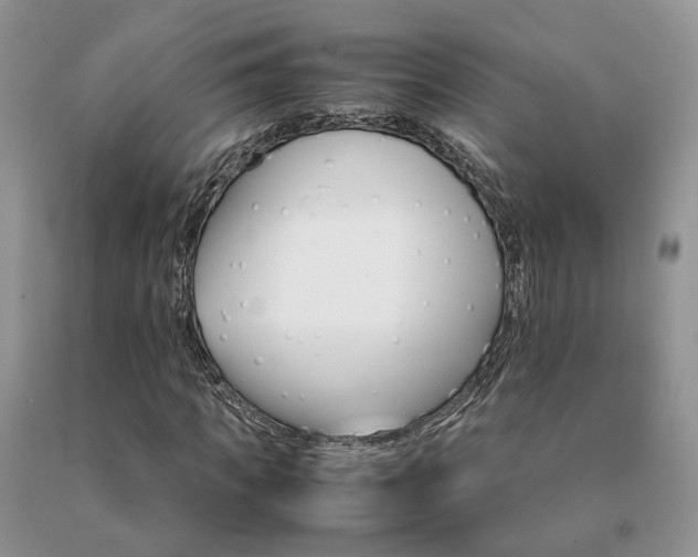 X0000091080917200708061334