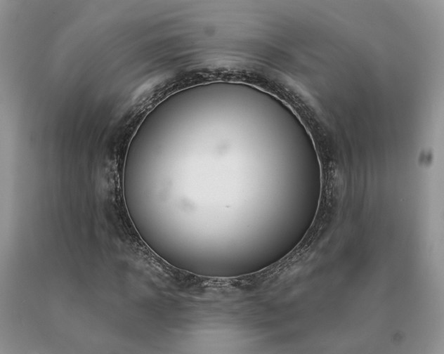 X0000091080918200708061334