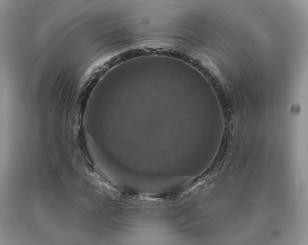 X0000091080920200708061334