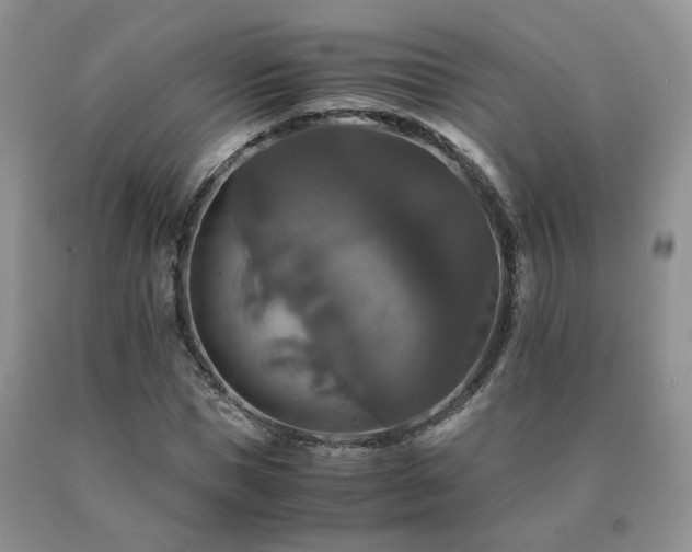 X0000091080921200708061334