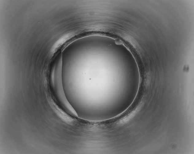 X0000091080922200708061334